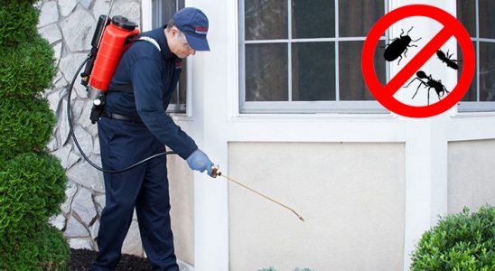 Göztepe Bit İlaçlama böcek ilaçlama ve haşere kontrolü — ilaclama-tr.com